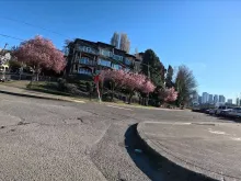 Spring in Seattle