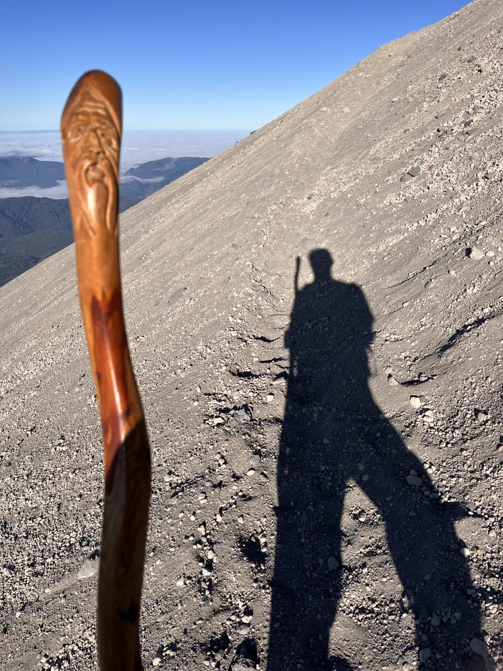 Trusty Companion