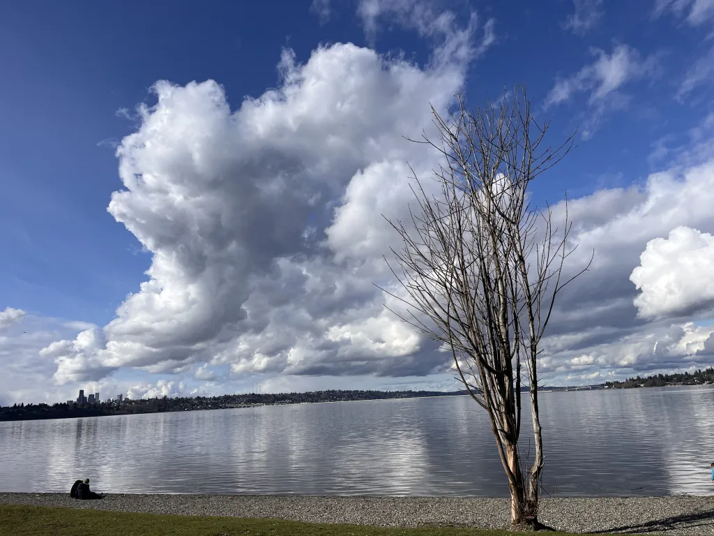 Seward Park North