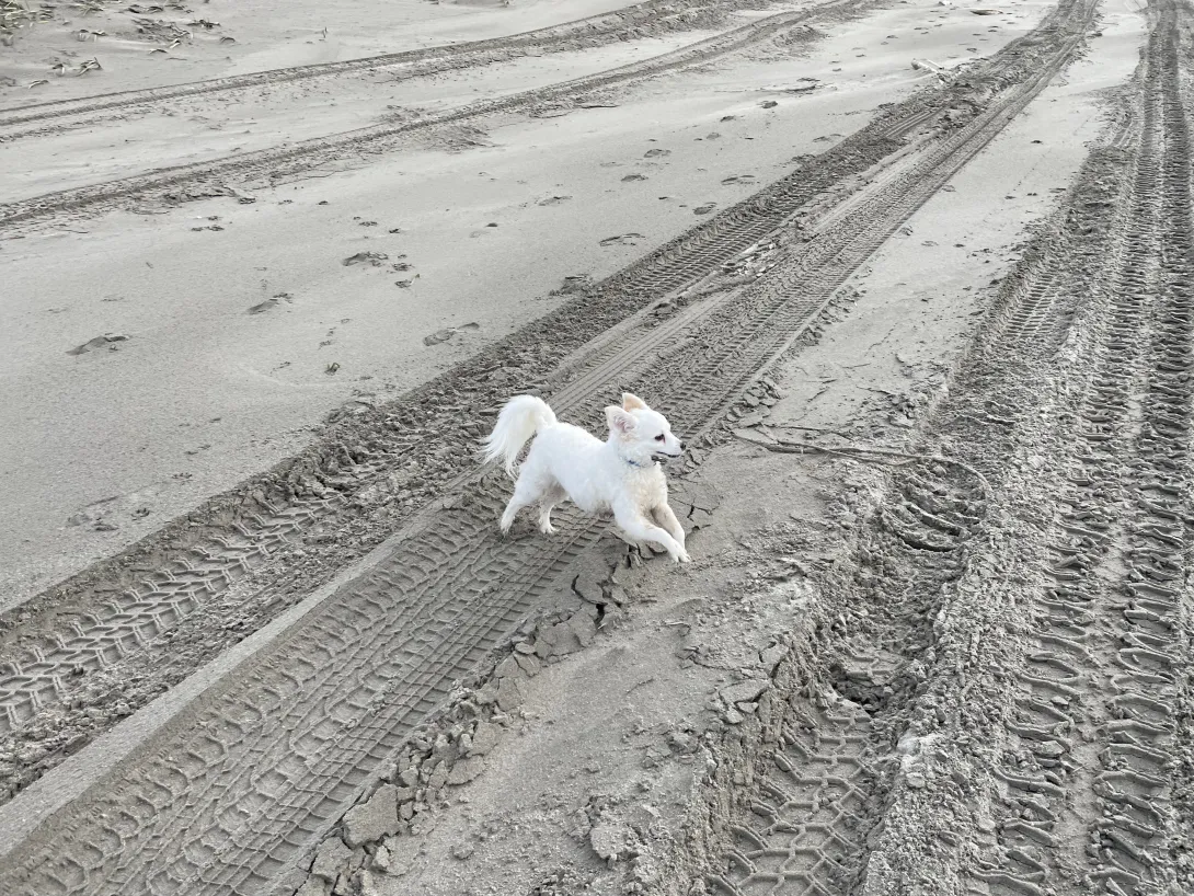 Penny at PNW Beach