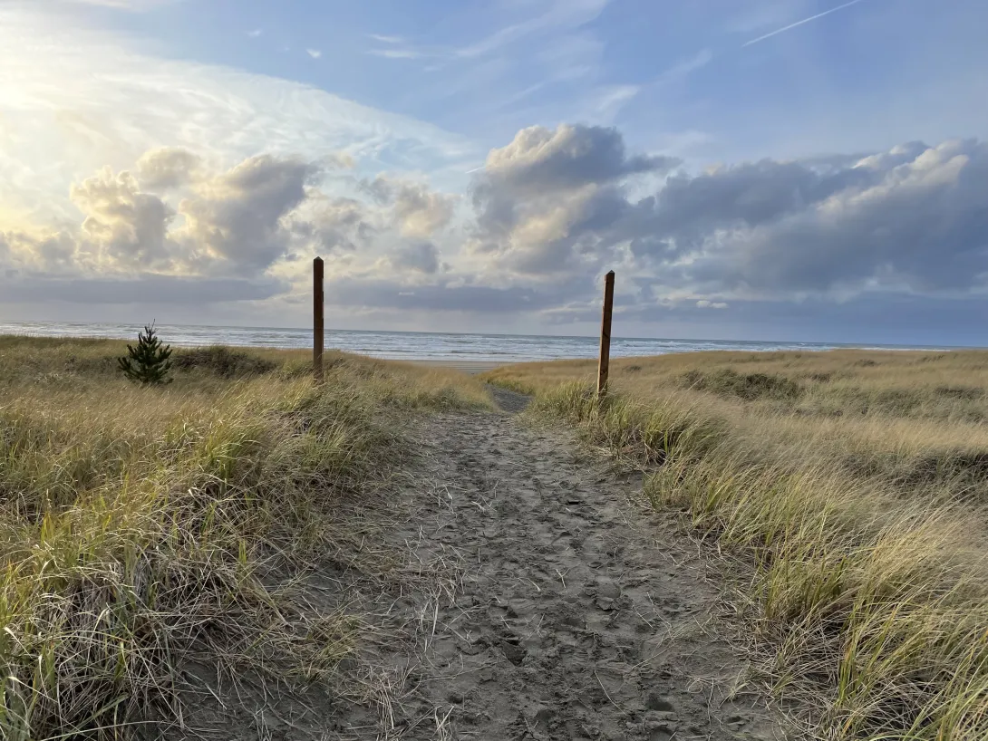 PNW Beach