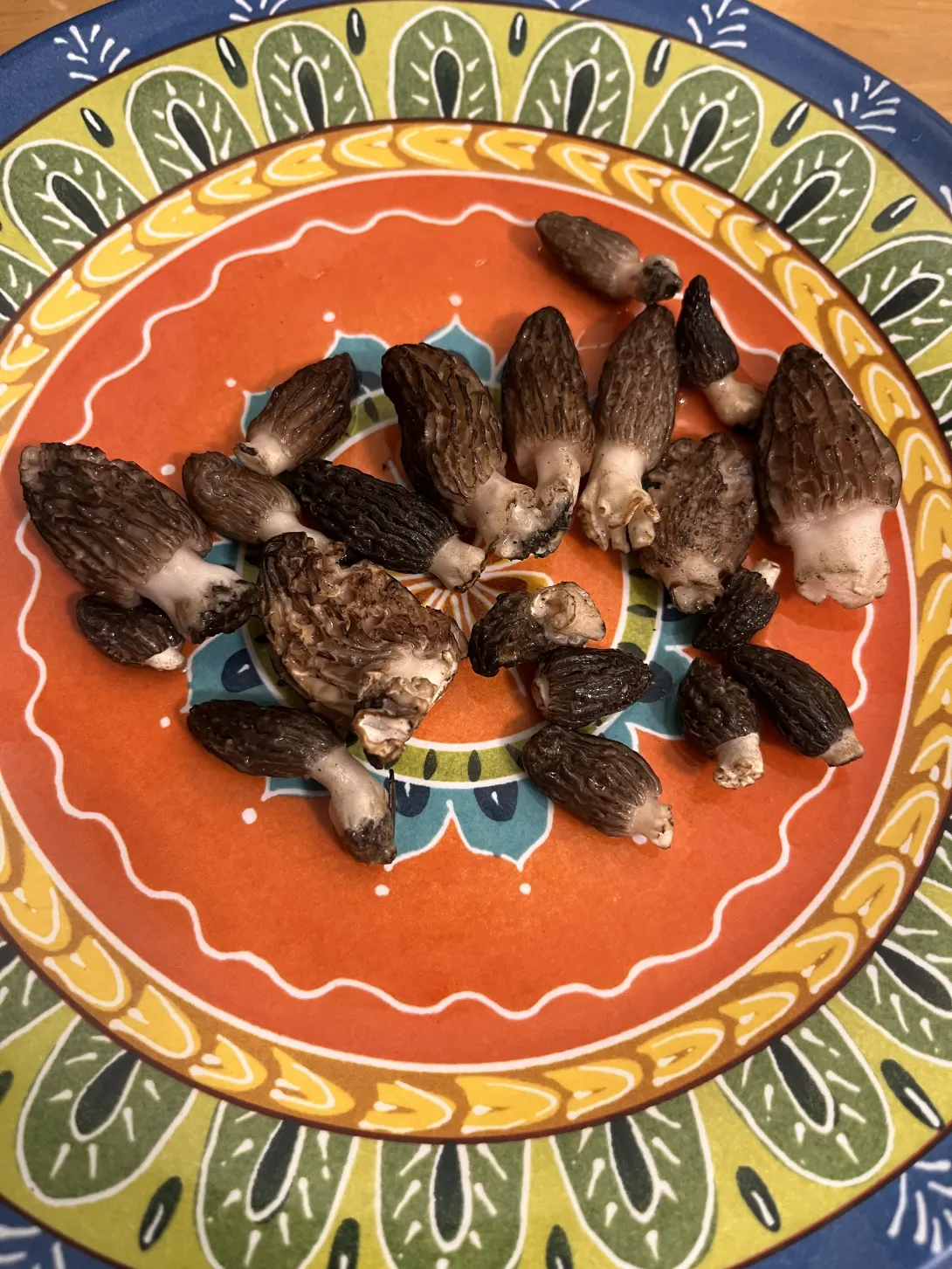 Rinsed morels