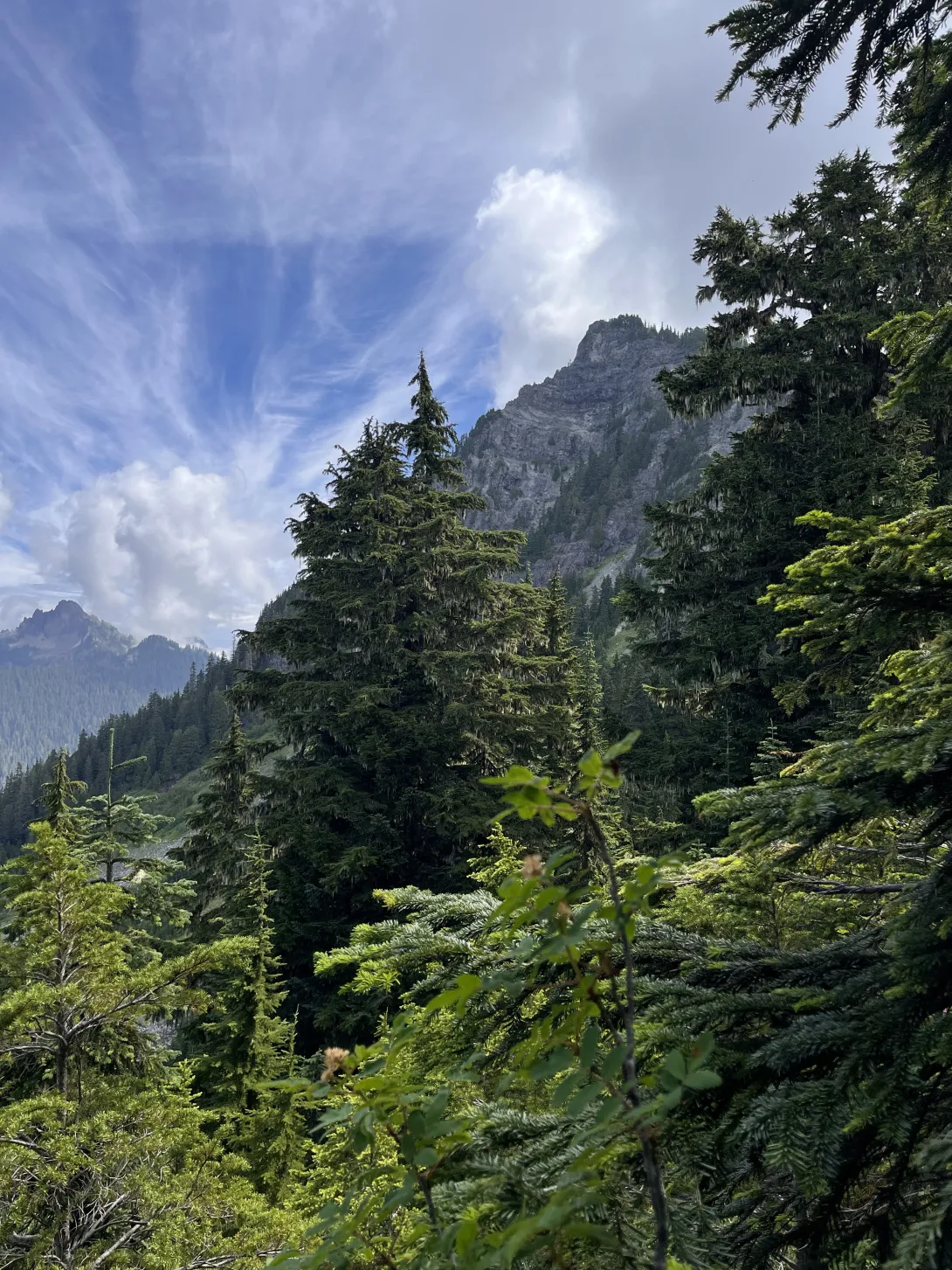 The view from "almost there"