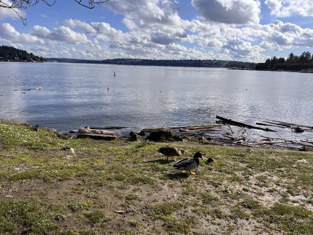 Seward Park South